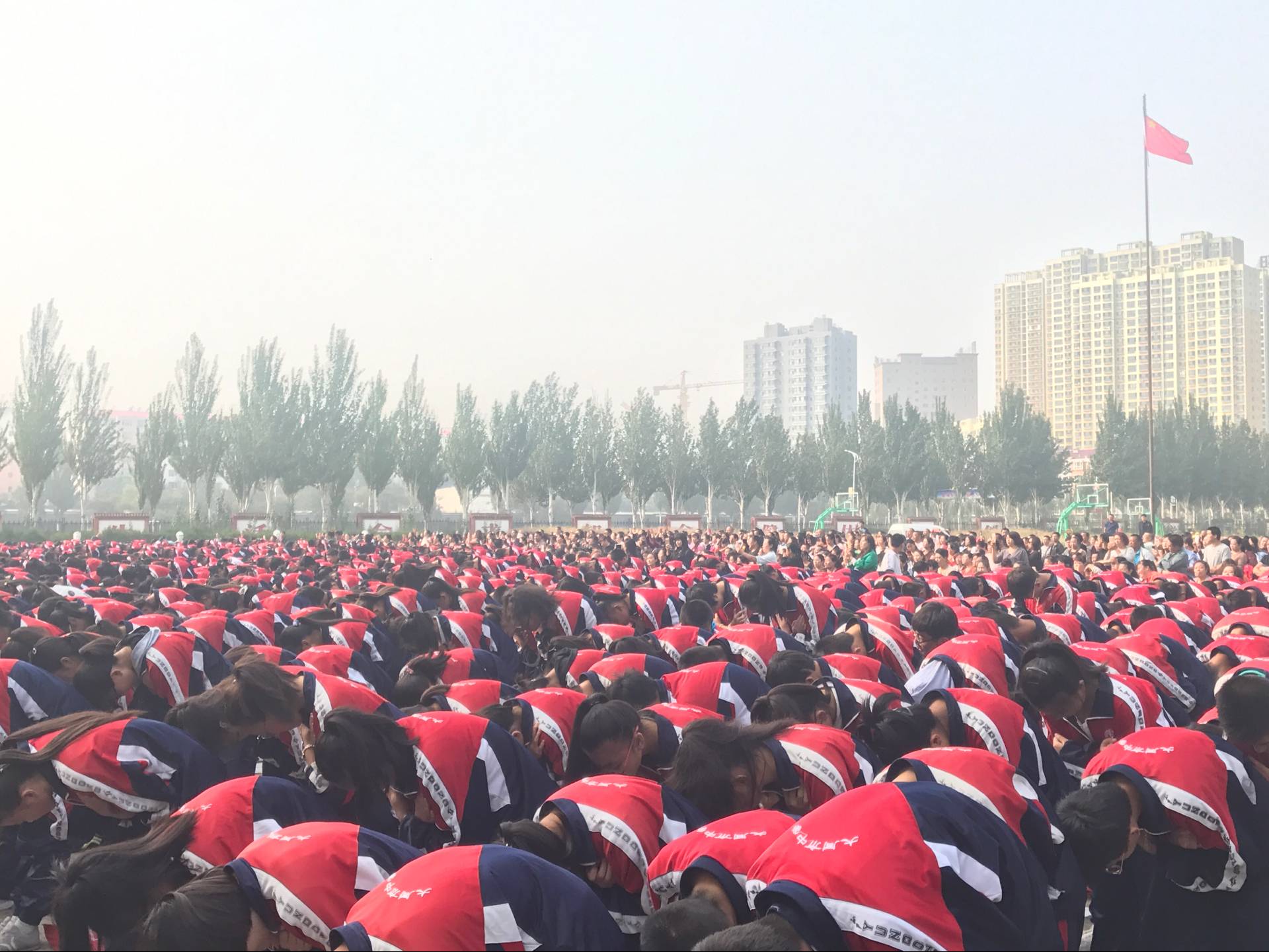 59bbafc110bab.jpg