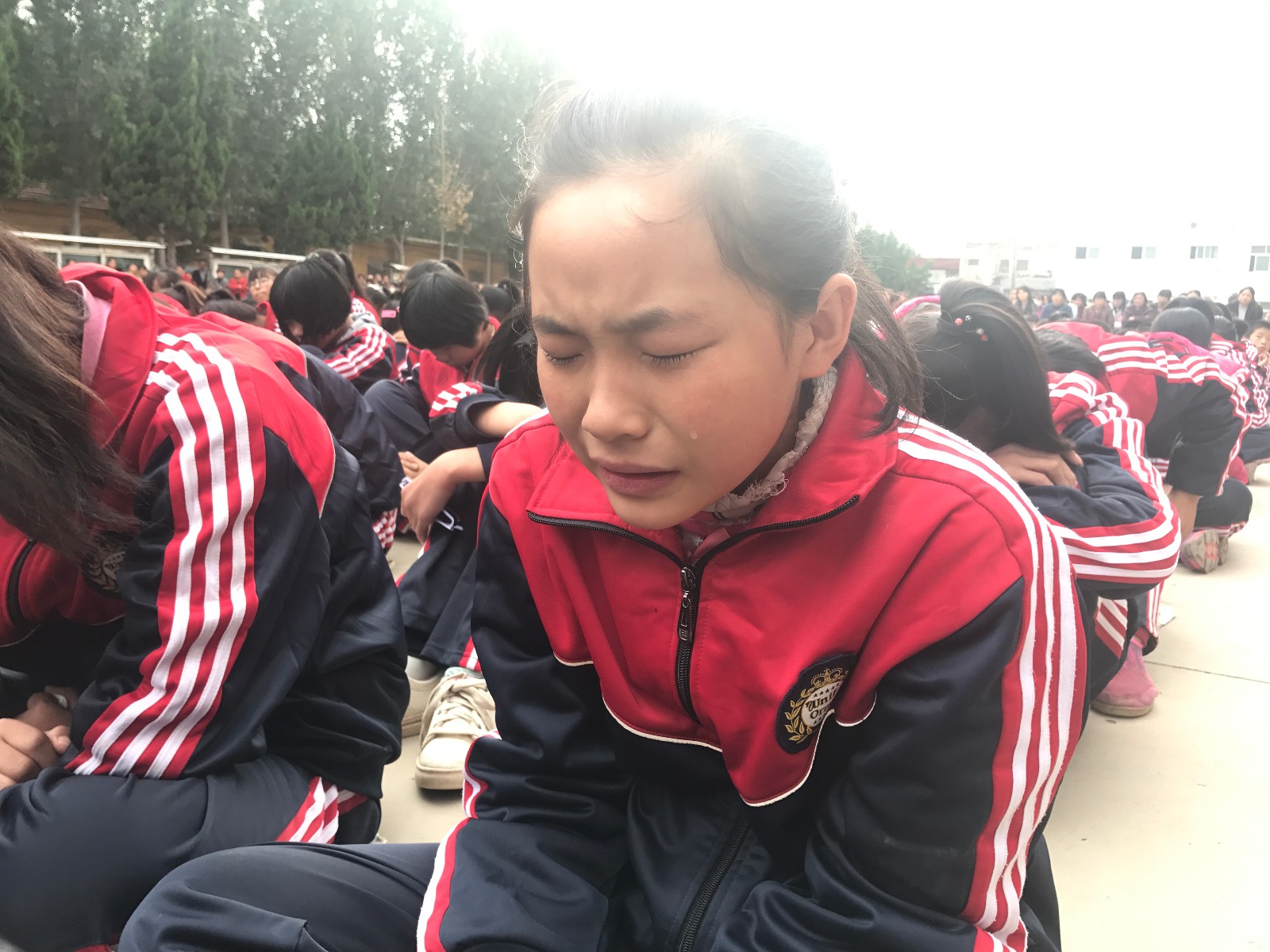 59df0b8041dee.jpg