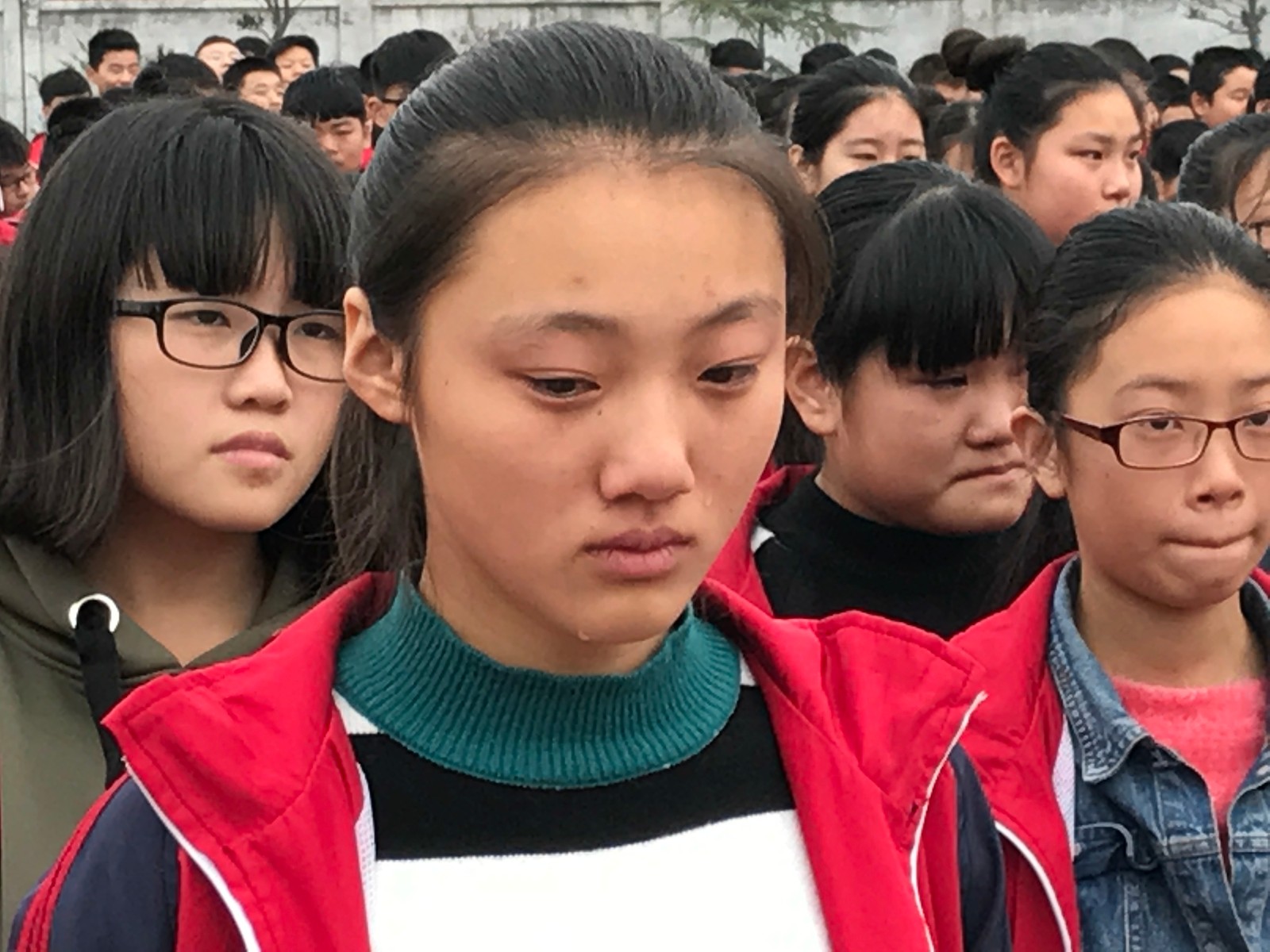 59f17b48cec8b.jpg