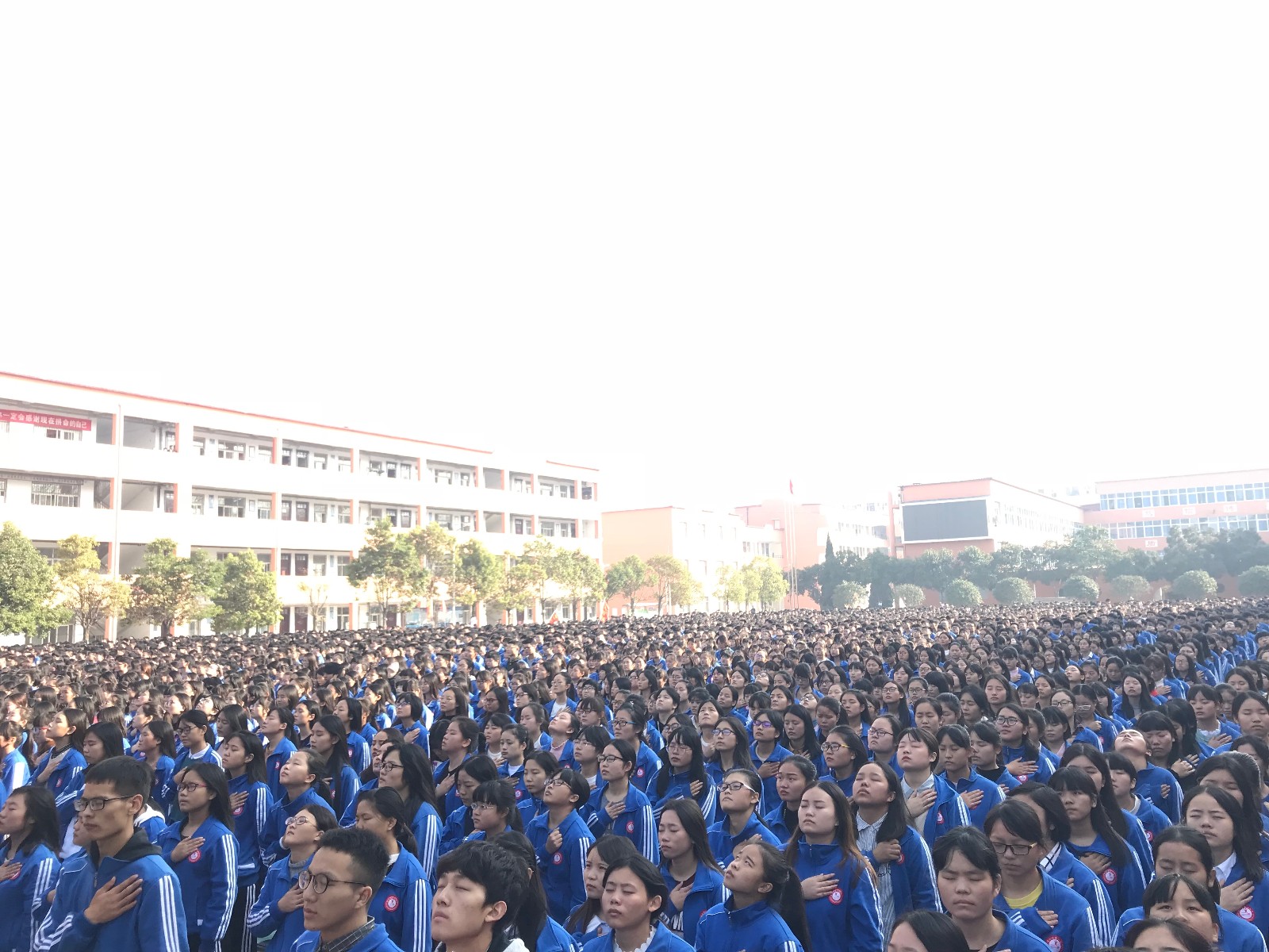59fab5ef4800e.jpg