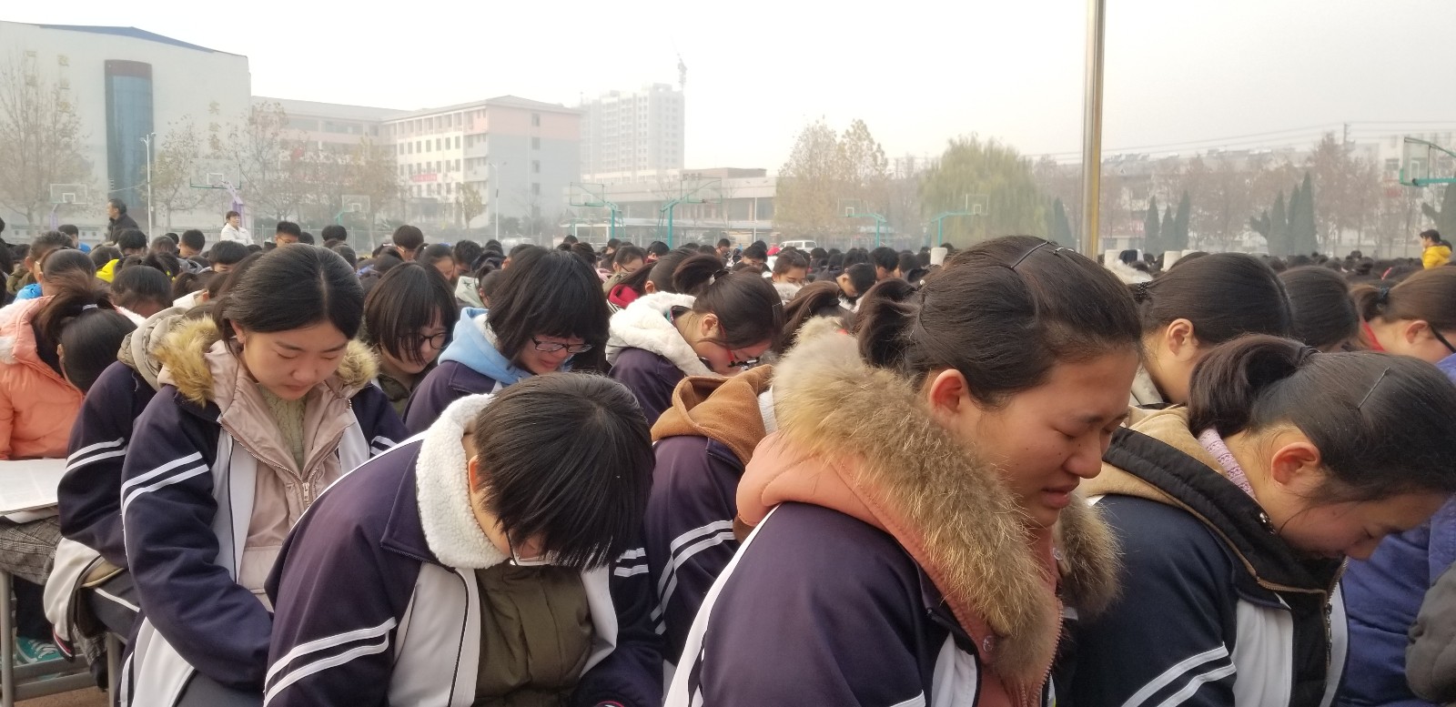 5a24e98156d33.jpg
