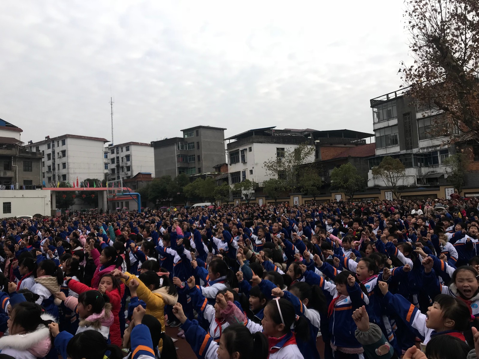 5a2f9be6e7280.jpg