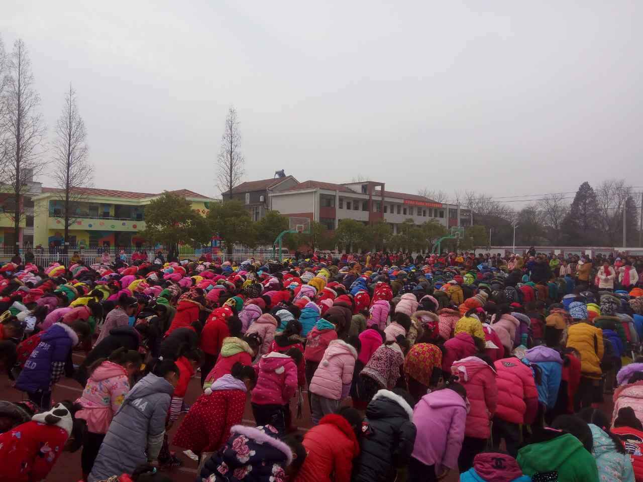 5a436f5e97715.jpg