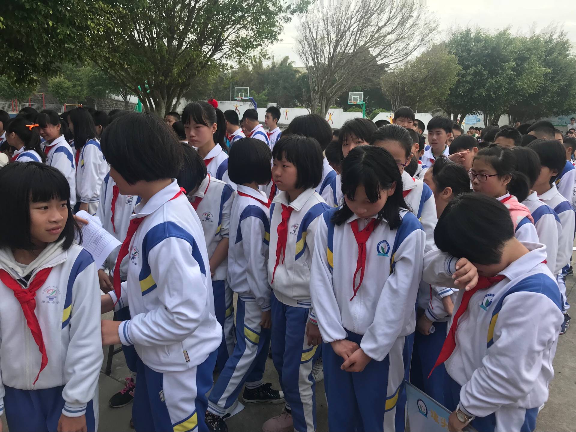 5a9cdf0973d15.jpg