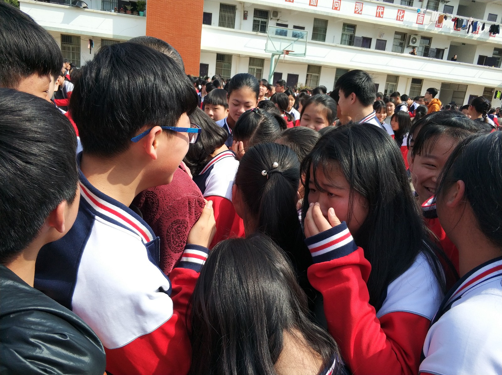 5aa76e6153fc9.jpg