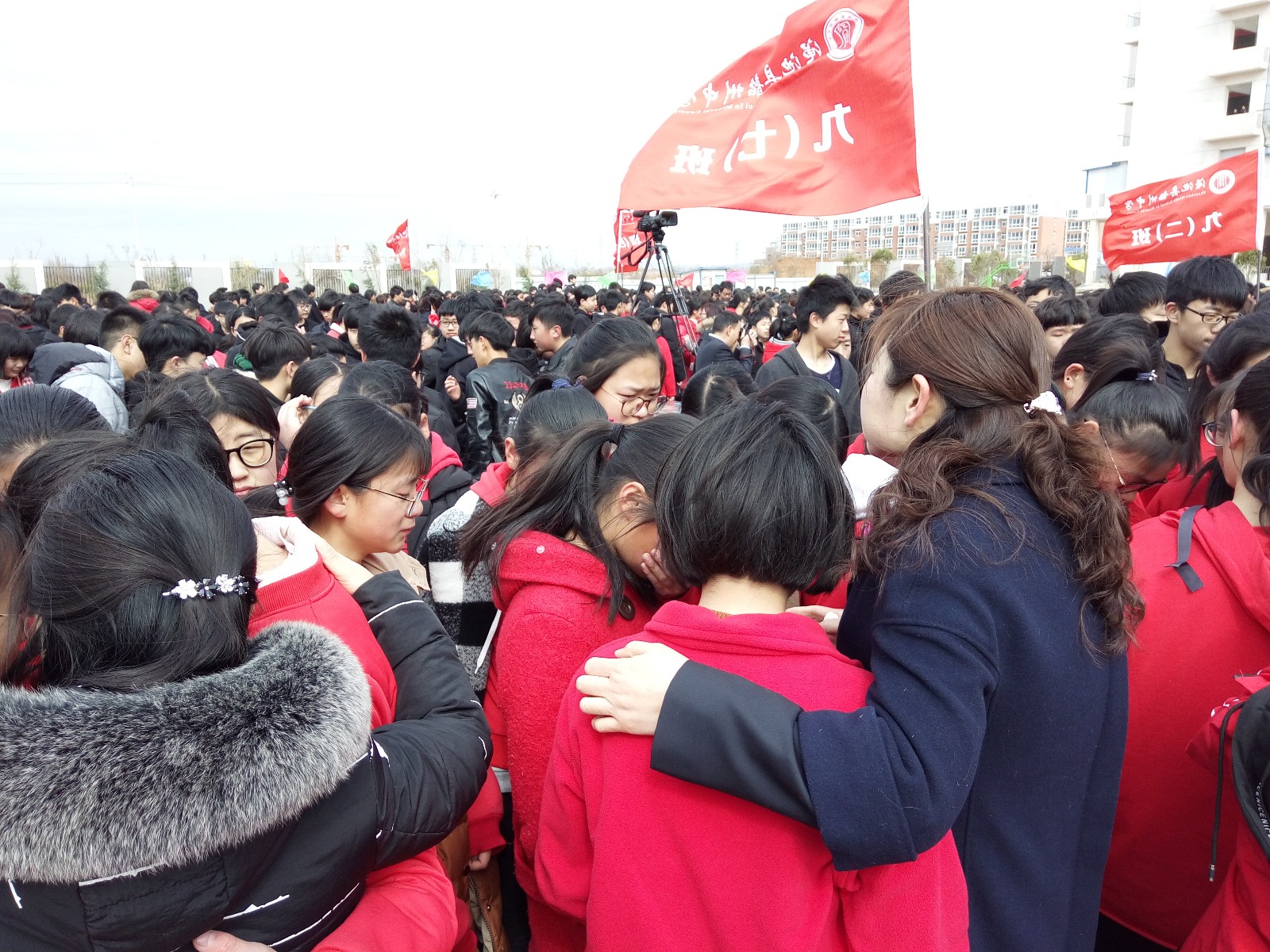 5aab65af4e255.jpg