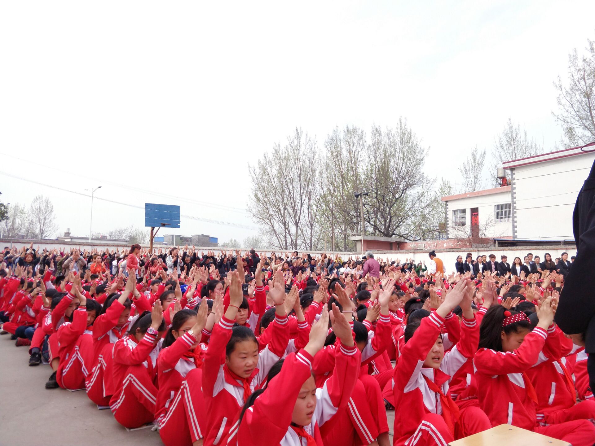 5abc85559b35a.jpg