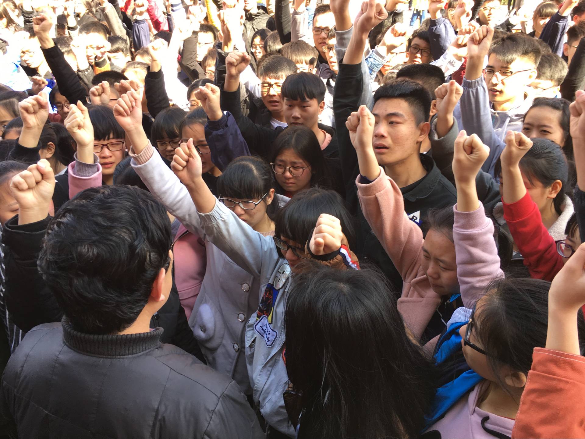 5ac9665479a42.jpg