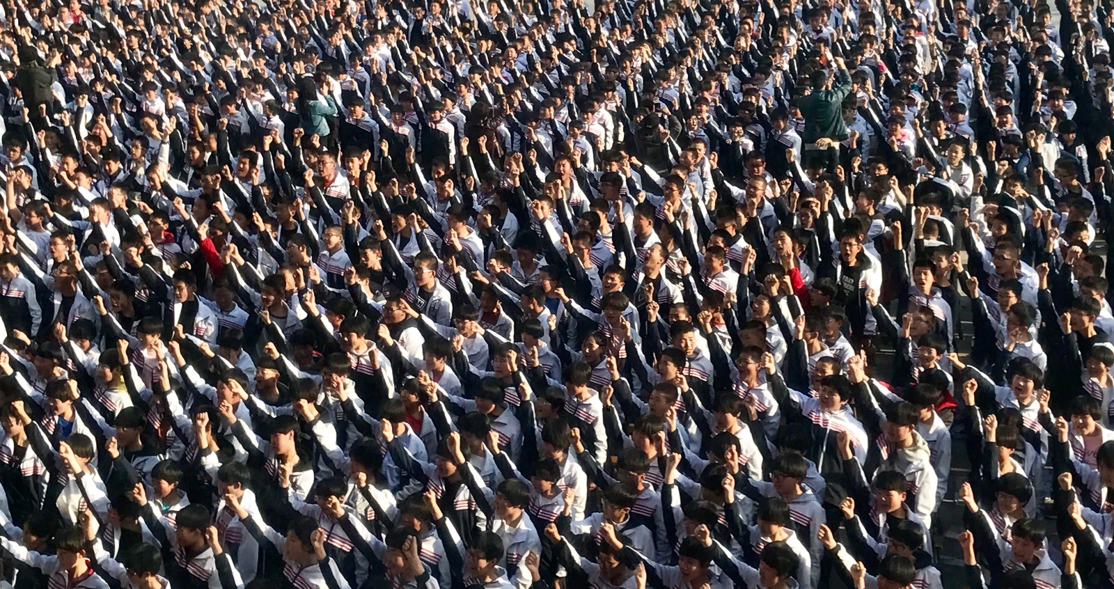 5acab7ae37296.jpg
