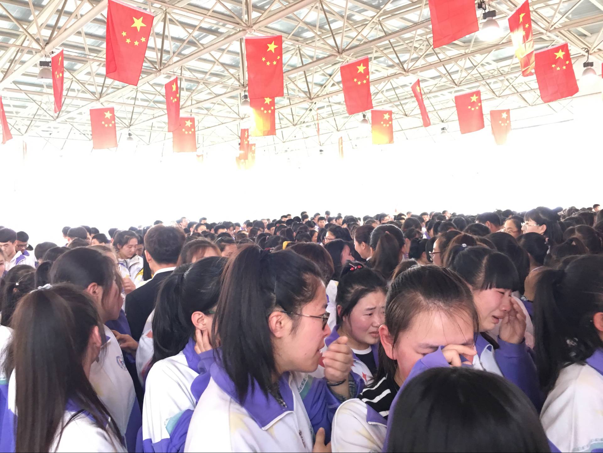 5ad70ff99e483.jpg