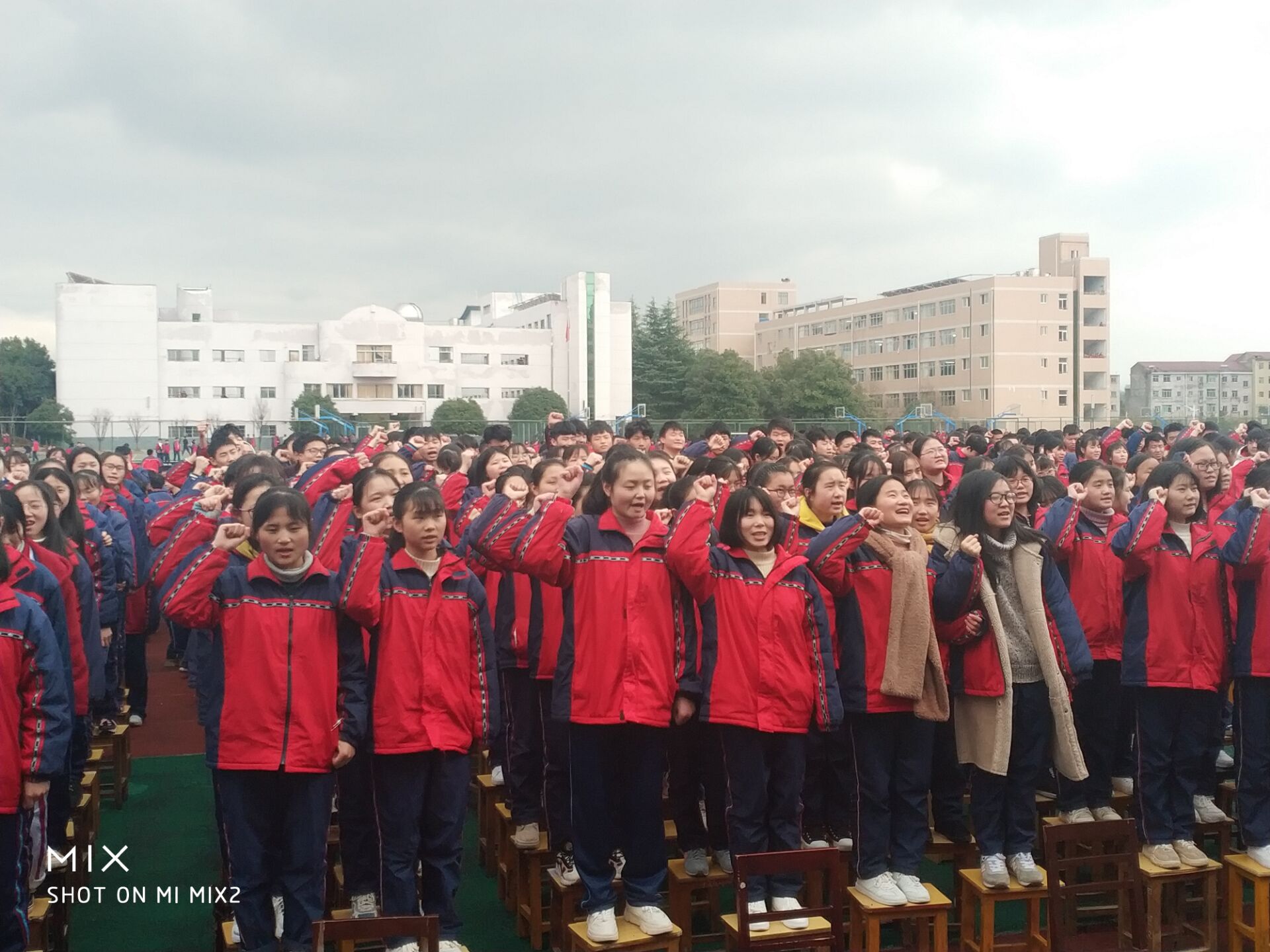 5c6fc682d2a24.jpg