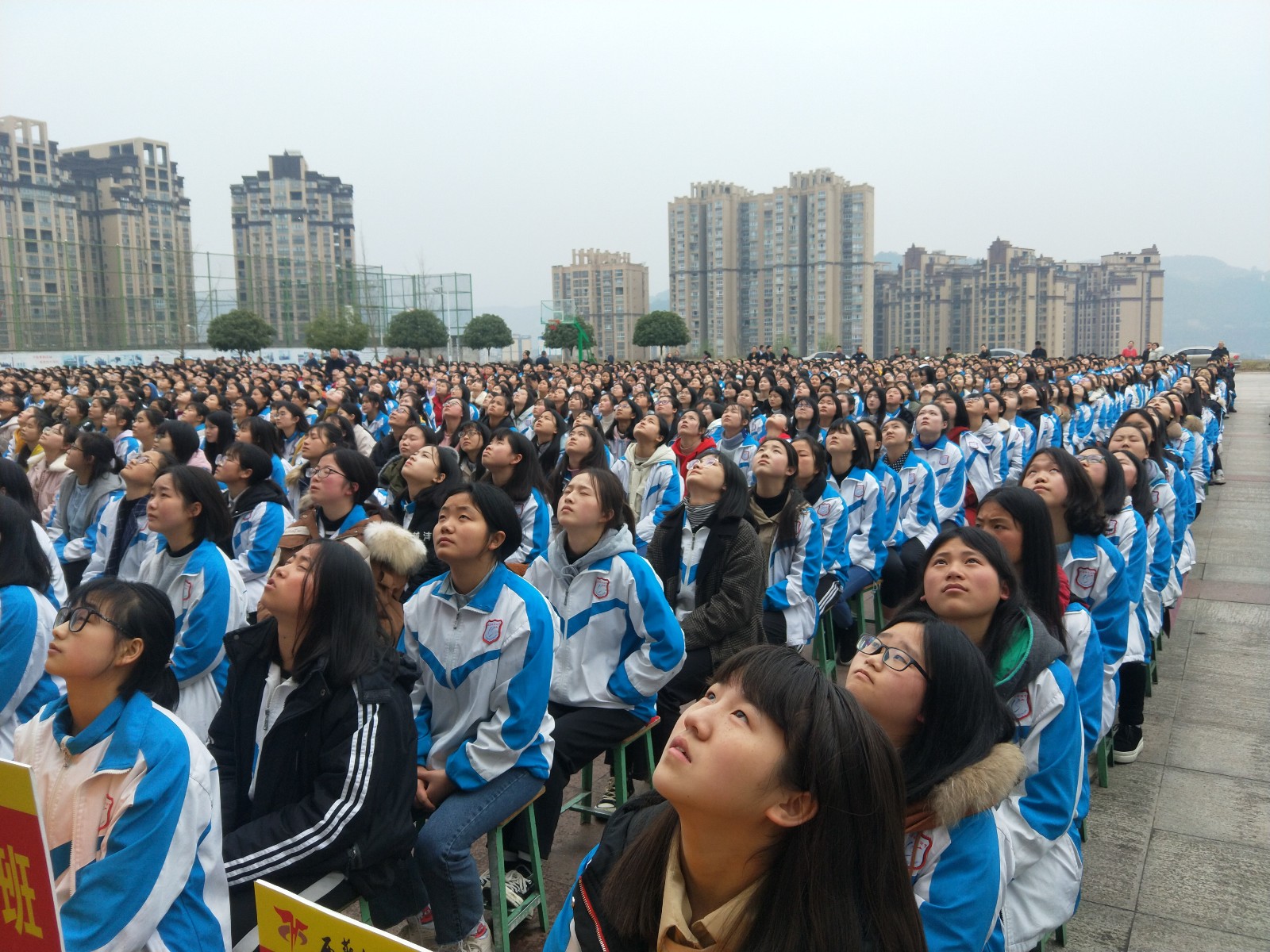 5c80d752b45ee.jpg