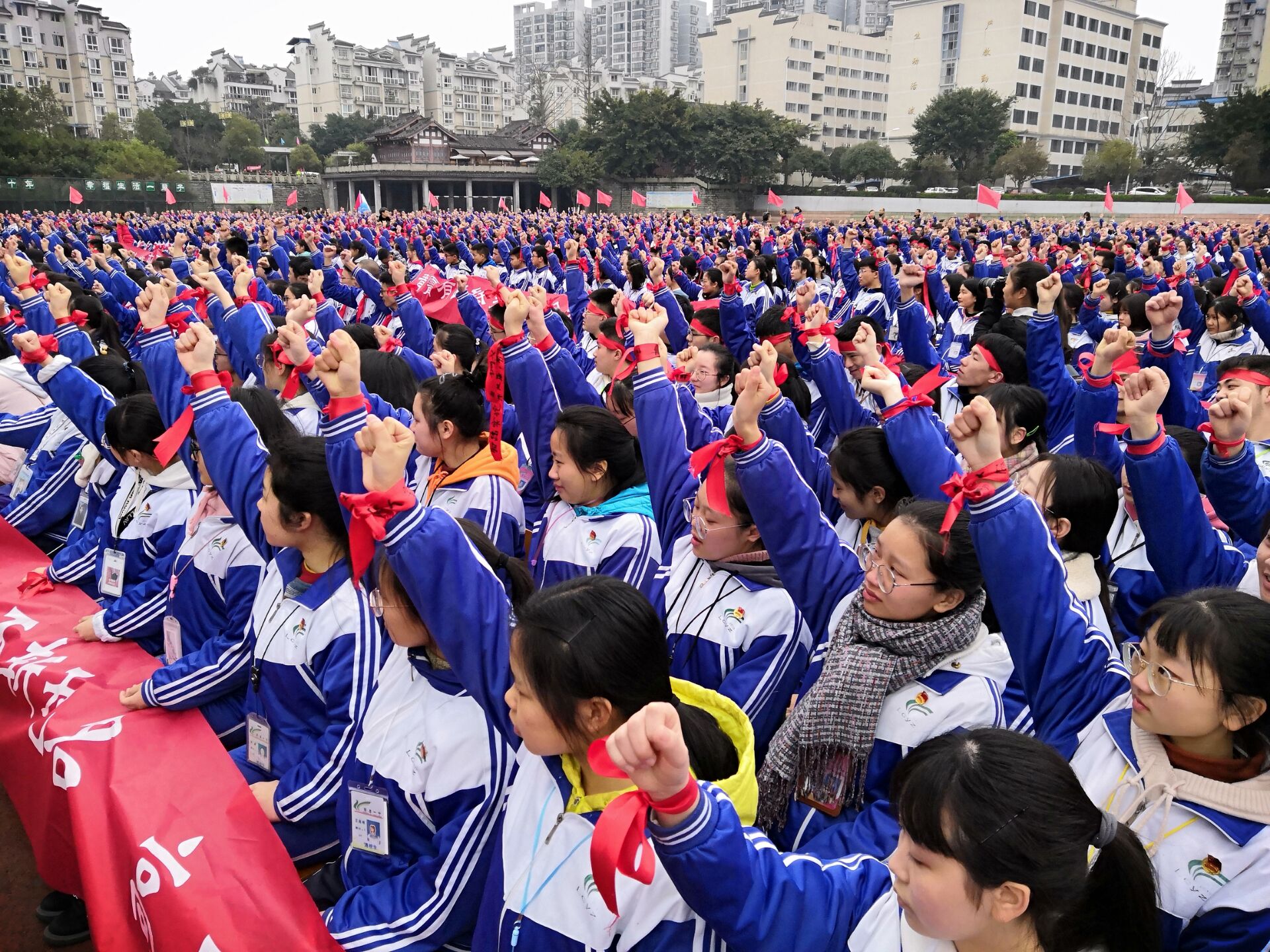 5c8201bf58d4d.jpg