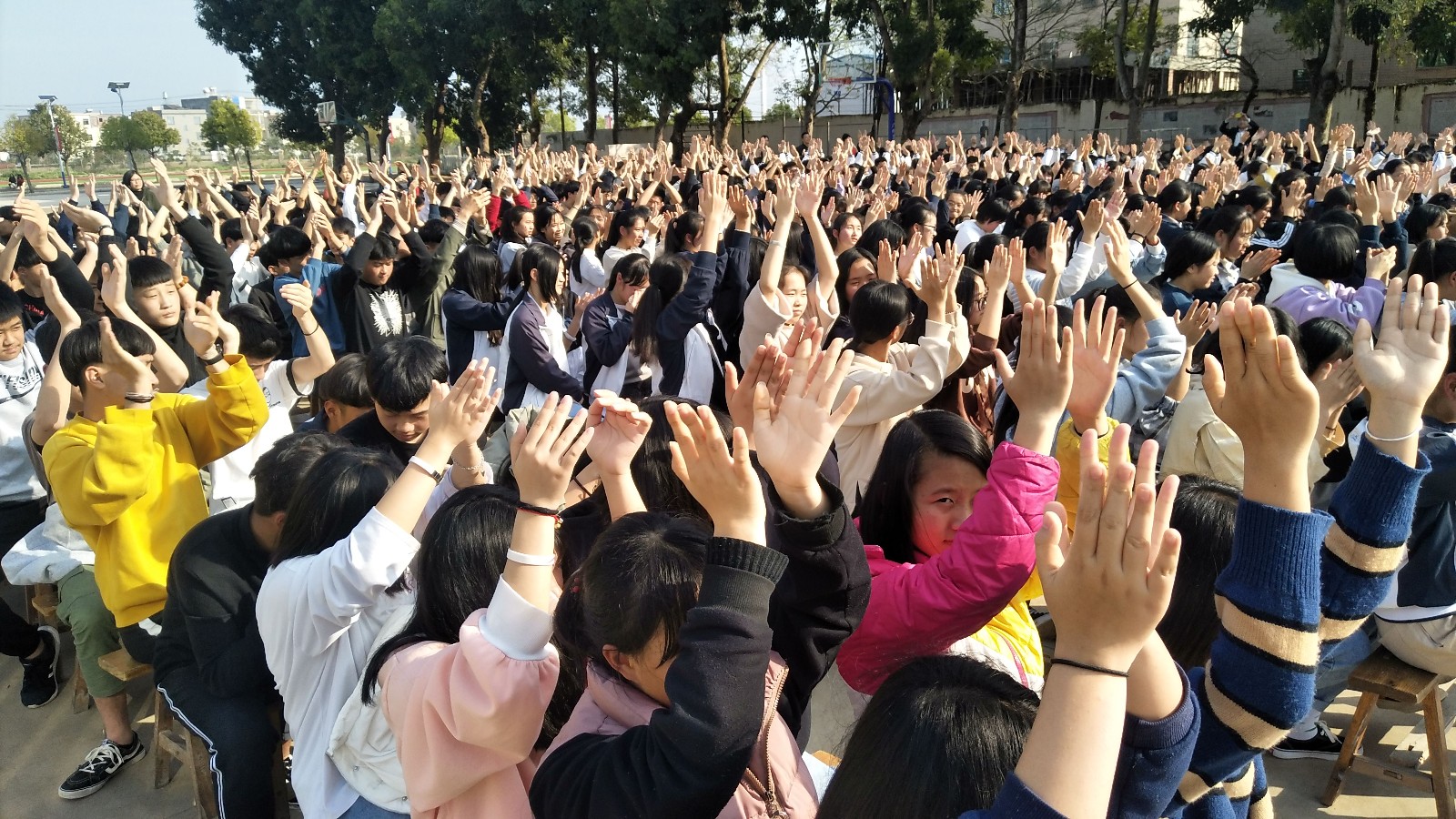 5c98c2edb0226.jpg