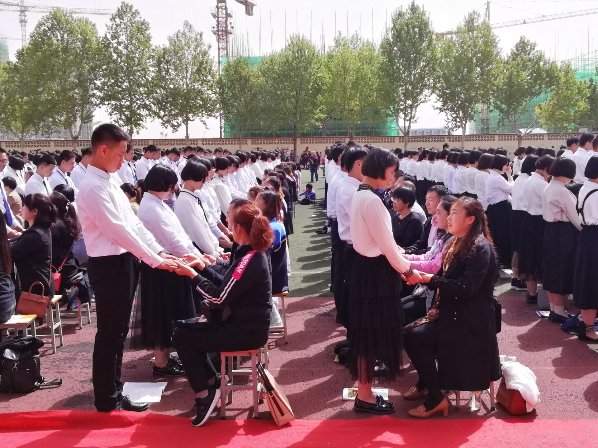5ccf78d52ad55.jpg