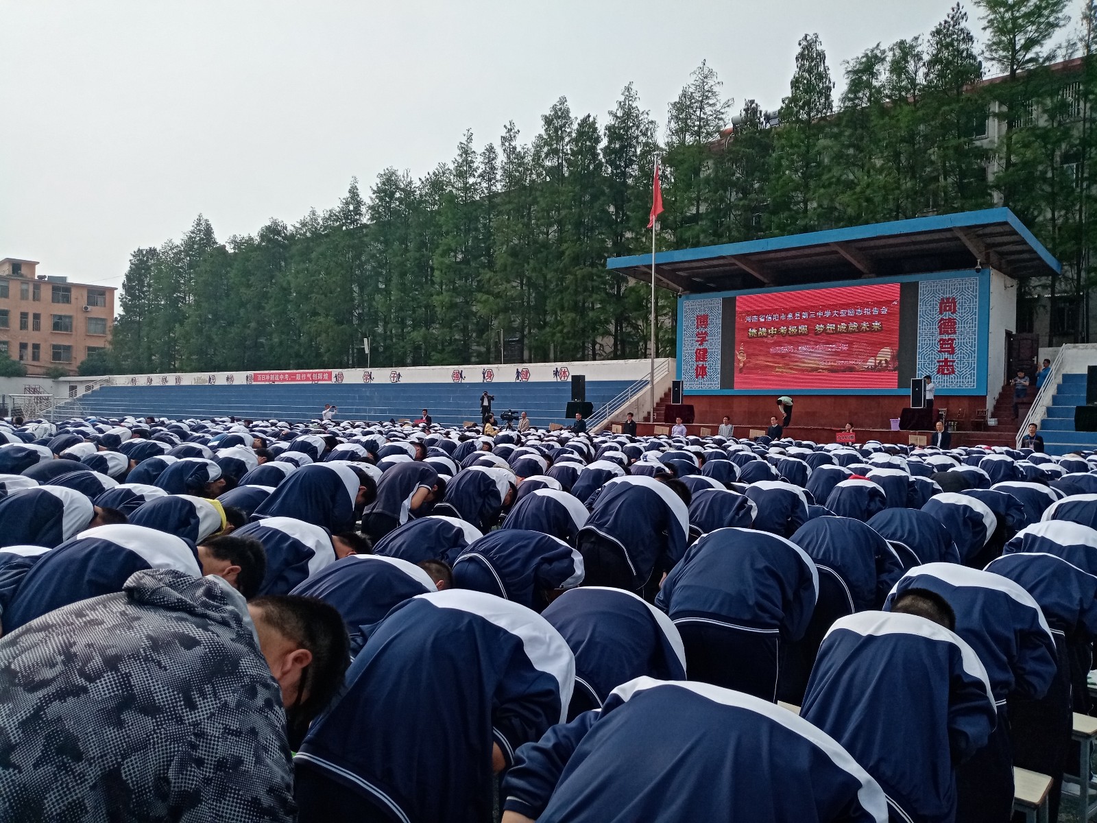 5ccfd45c35cb7.jpg