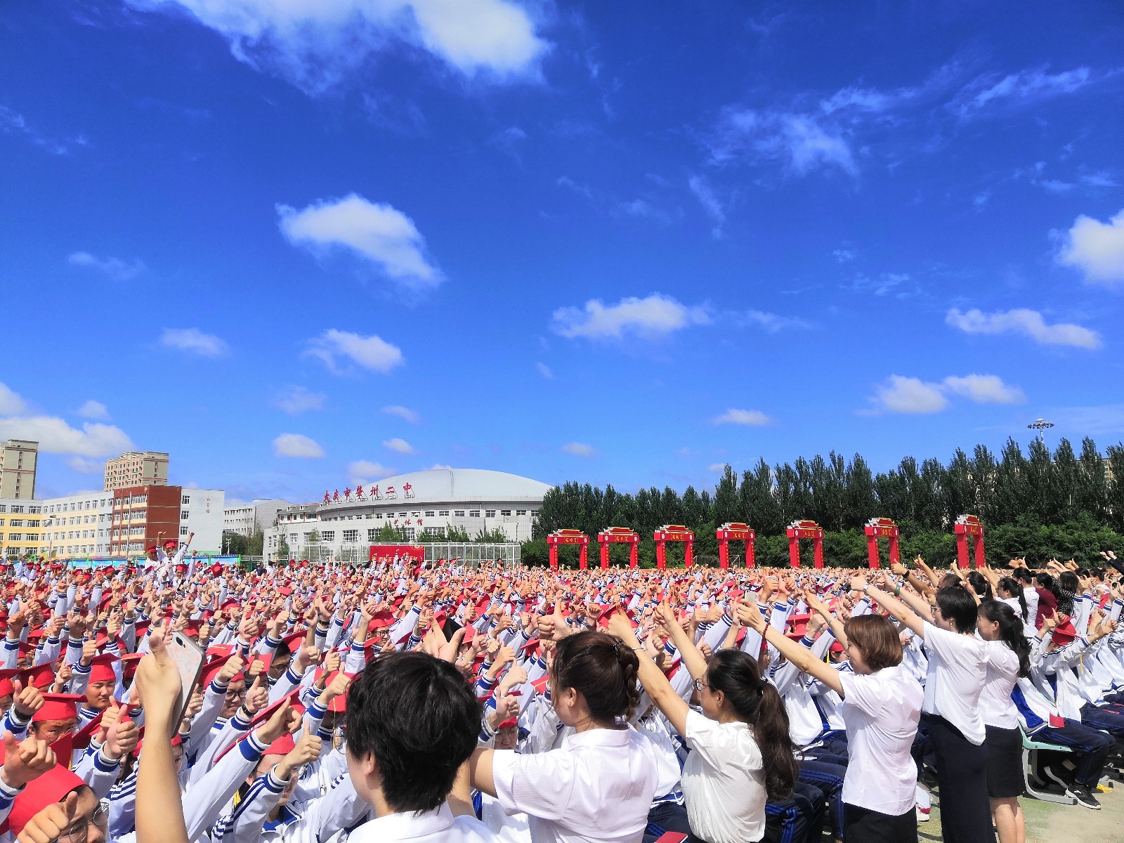 5d550720a3f66.jpg